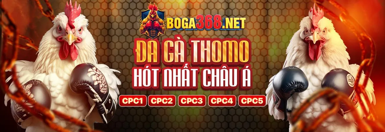 Đá gà trực tuyến kịch tính tại 8s đăng nhập